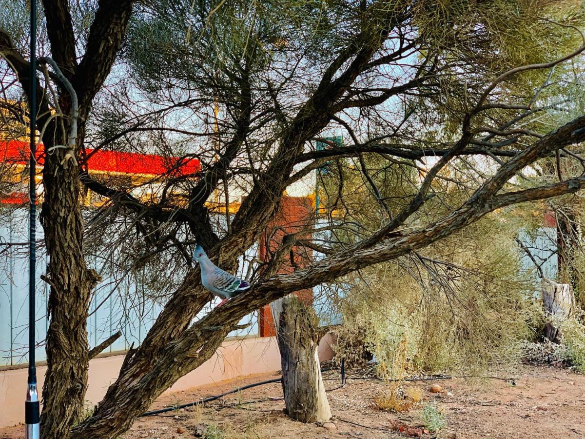 Desert Cave Hotel Coober Pedy Dış mekan fotoğraf